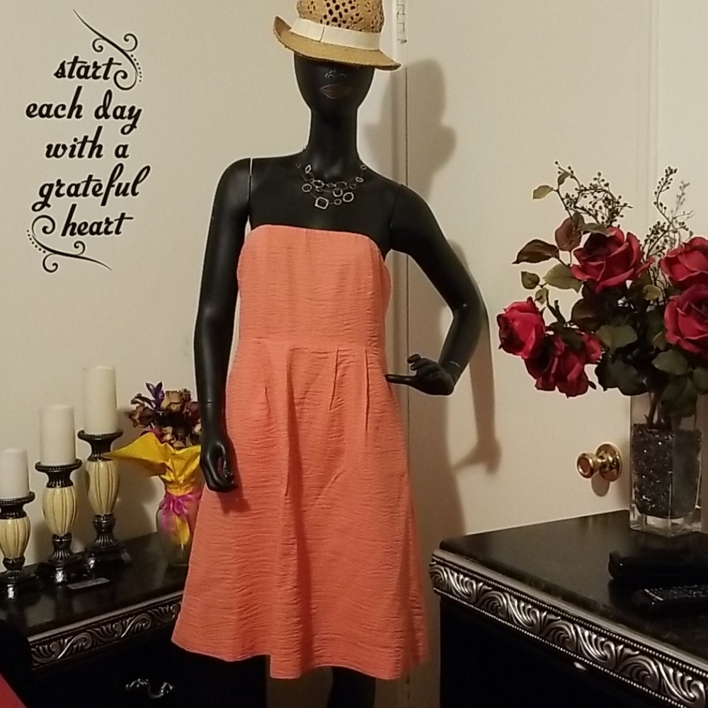 J crew dress